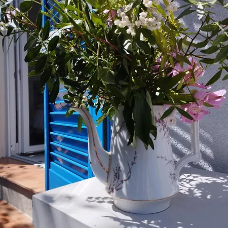 Floribel Guest house