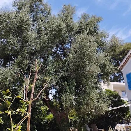 Floribel Guest house